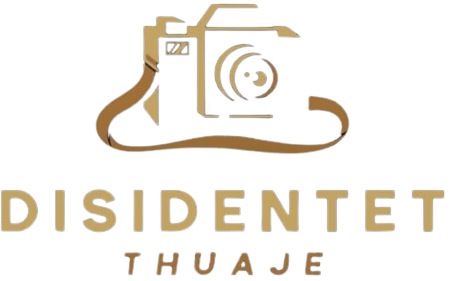 Disidentet